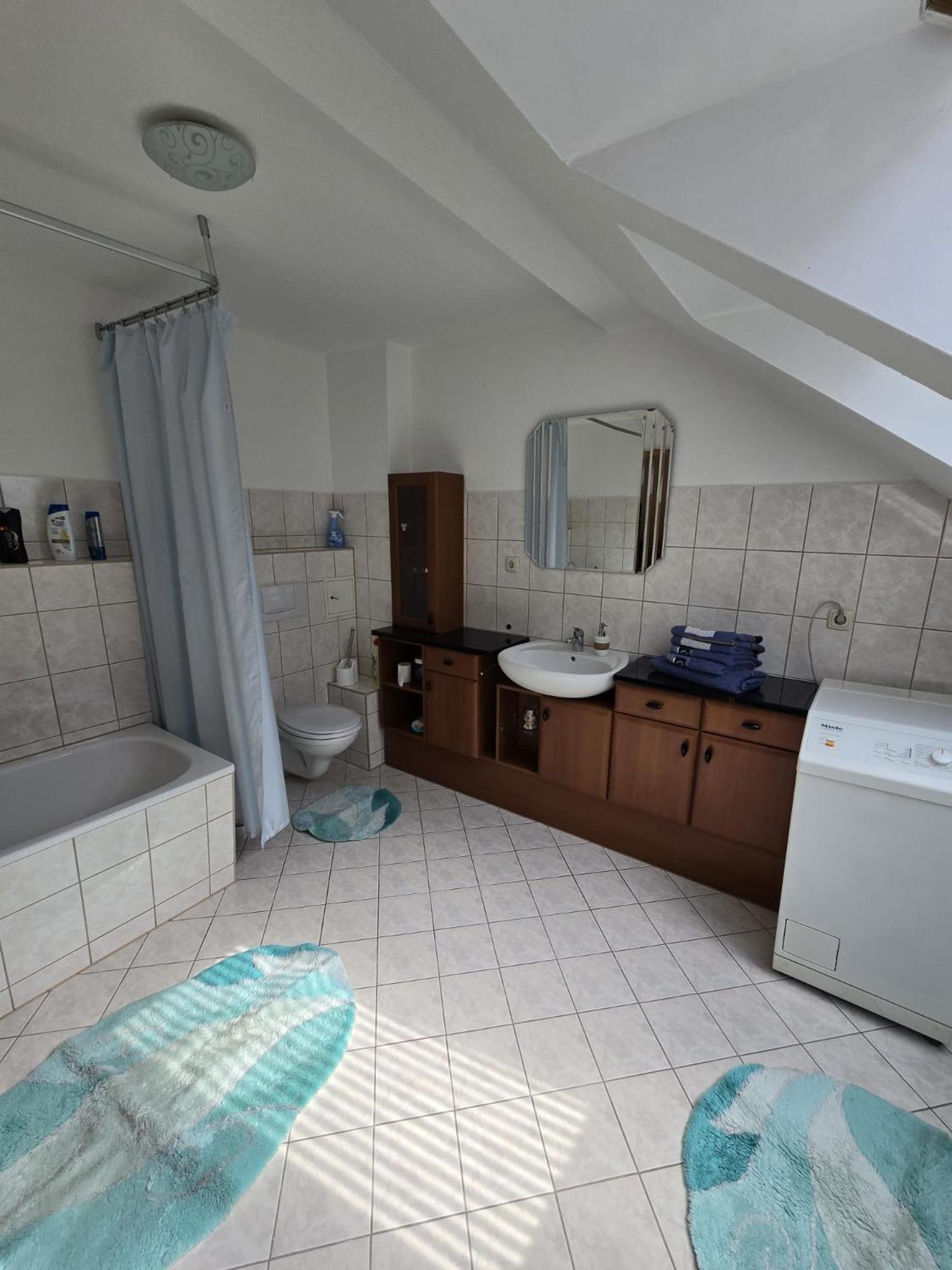 Ferienwohnung Flonta Mittweida Buitenkant foto